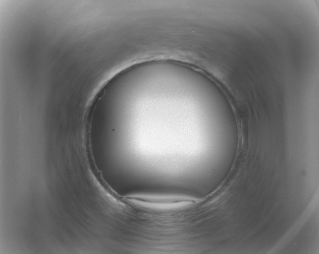 X0000066941500200604071858