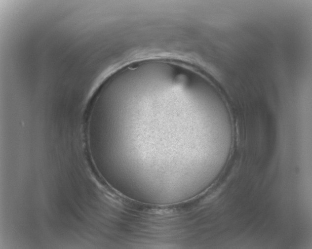 X0000066941501200604071858