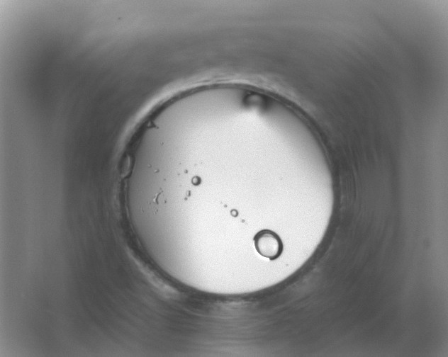 X0000066941502200604071858