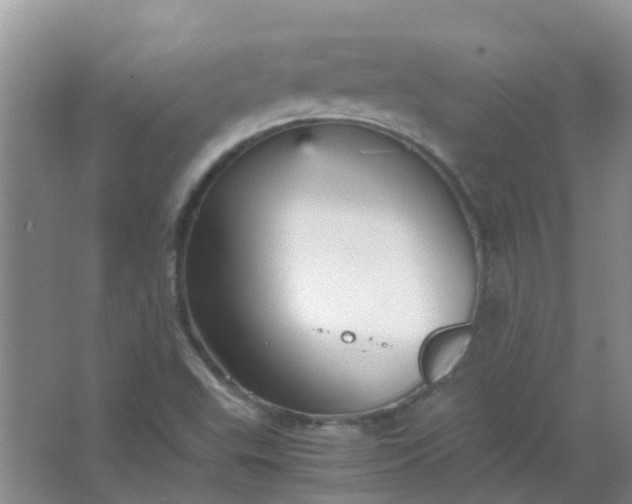 X0000066941503200604071858