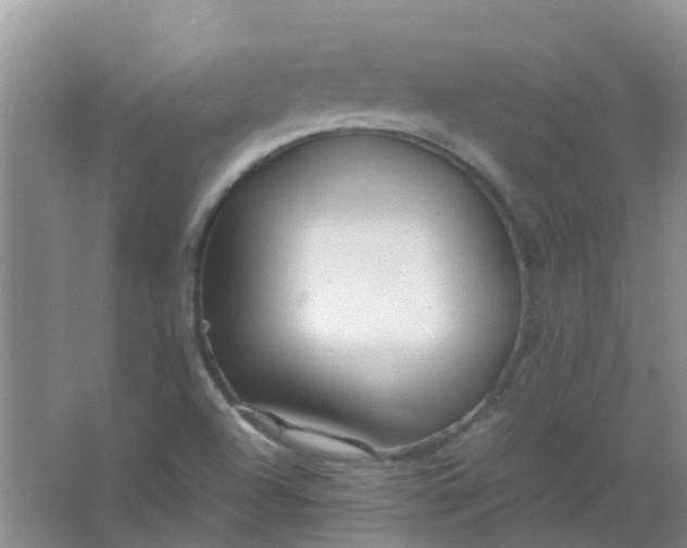 X0000066941504200604071859