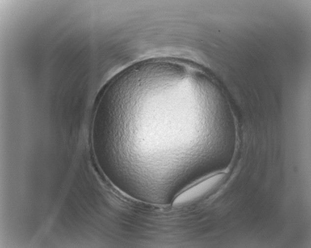 X0000066941505200604071859