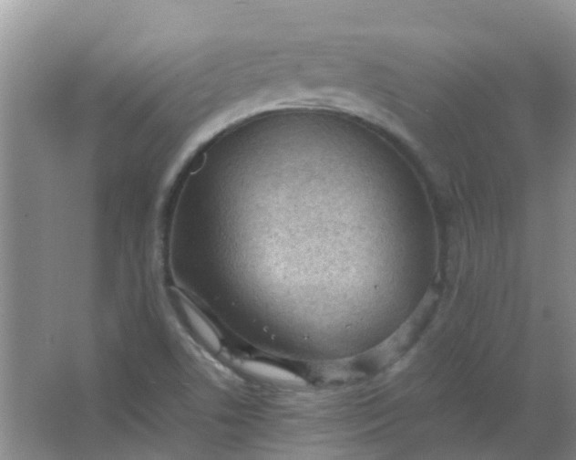 X0000066941506200604071859