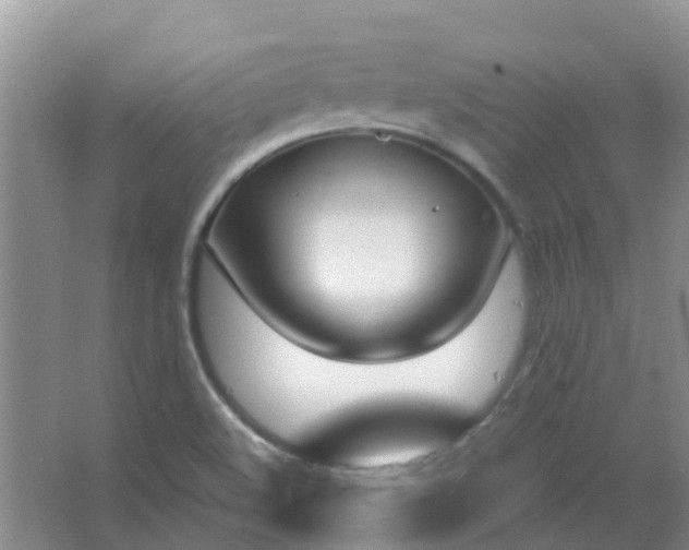 X0000066941508200604071859