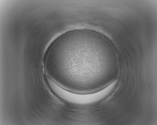 X0000066941509200604071859