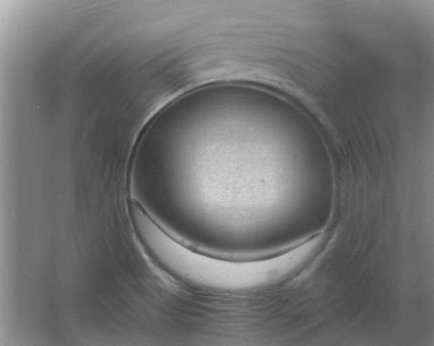 X0000066941513200604071859