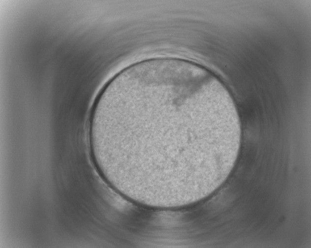 X0000066941514200604071859