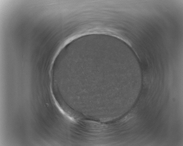 X0000066941515200604071859