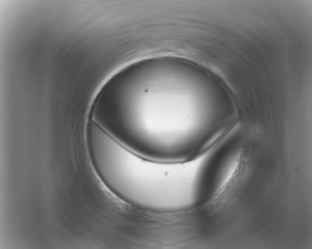 X0000066941516200604071859