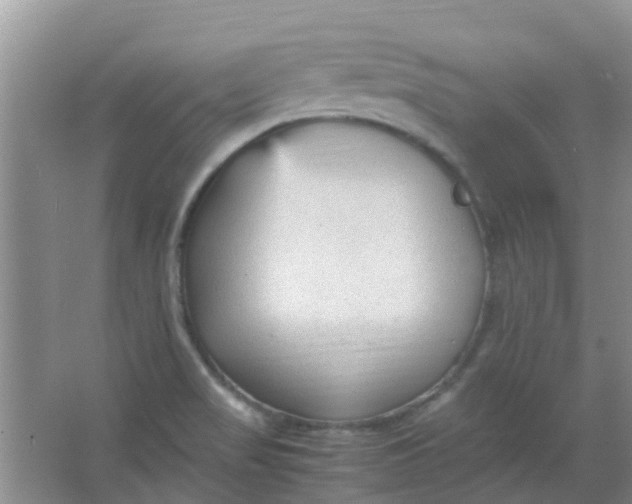 X0000066941517200604071859