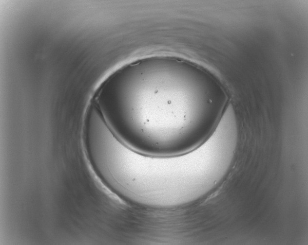 X0000066941518200604071859