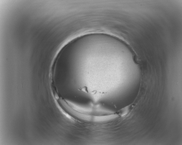 X0000066941519200604071859