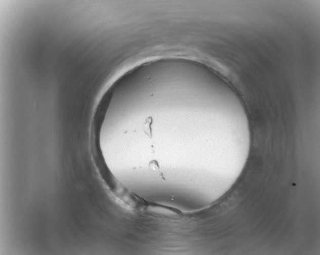 X0000066941520200604071859