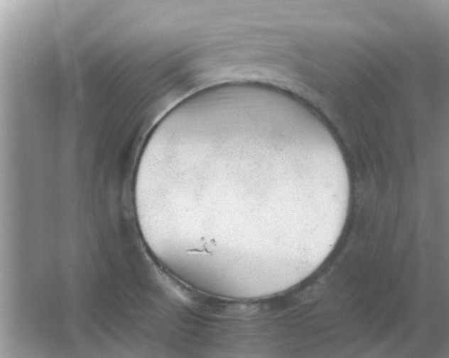 X0000066941521200604071859