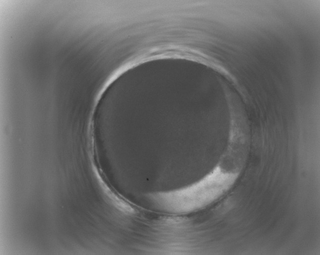 X0000066941522200604071859