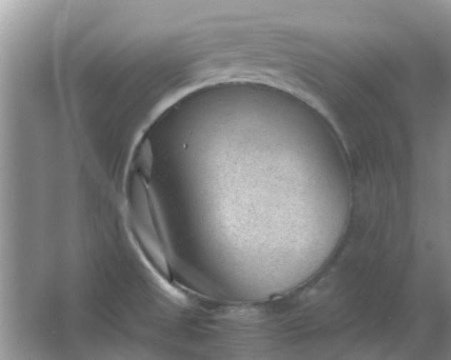 X0000066941525200604071859