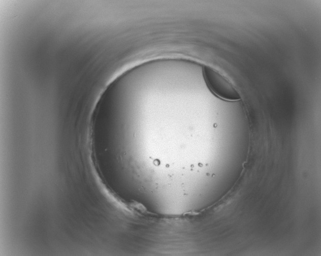 X0000066941526200604071859