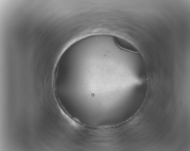 X0000066941527200604071859