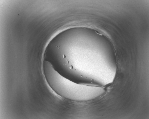 X0000066941528200604071859