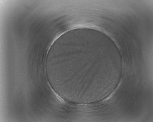 X0000066941529200604071859