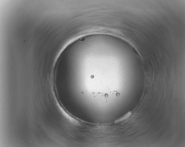 X0000066941531200604071859