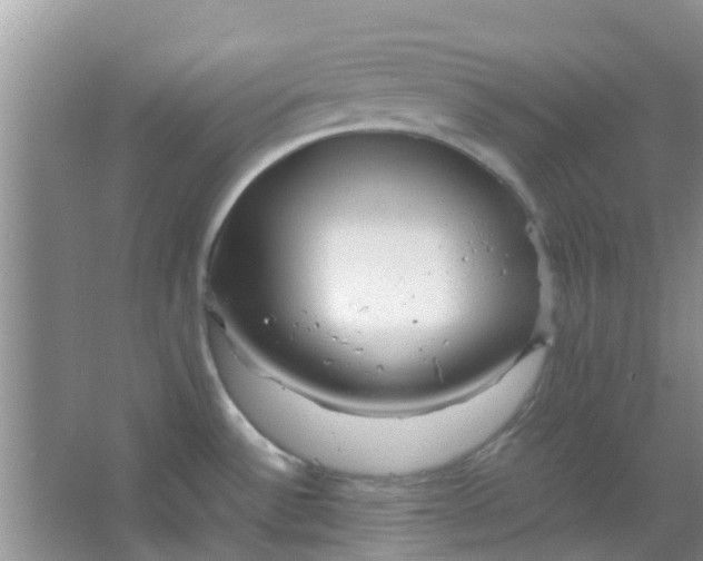 X0000066941532200604071859