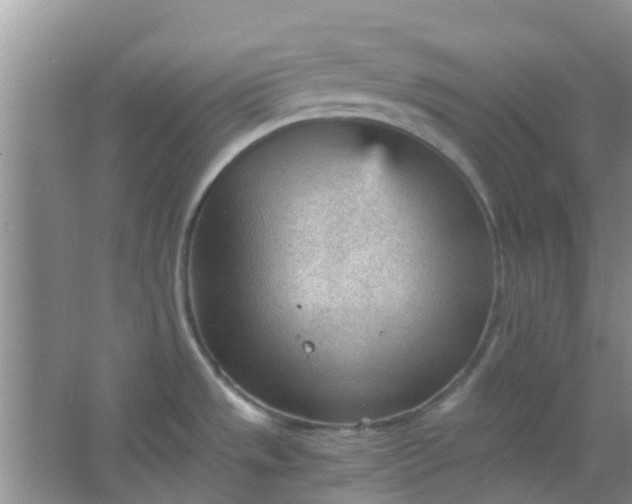 X0000066941533200604071859