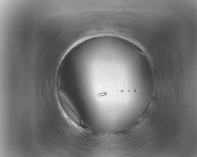 X0000066941534200604071859