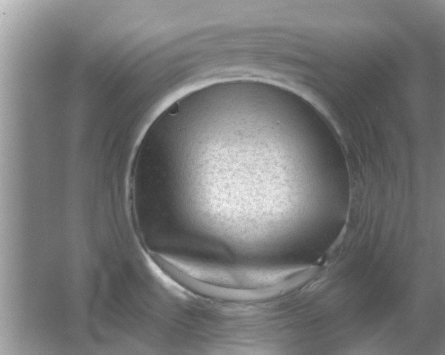 X0000066941535200604071859