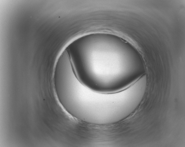 X0000066941536200604071859