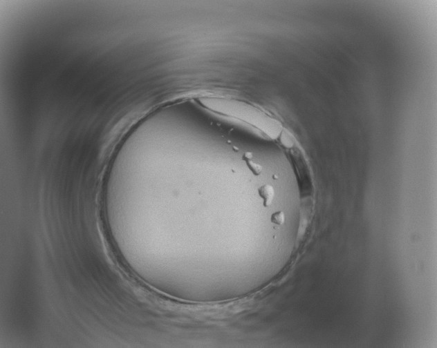 X0000066940001200604142035