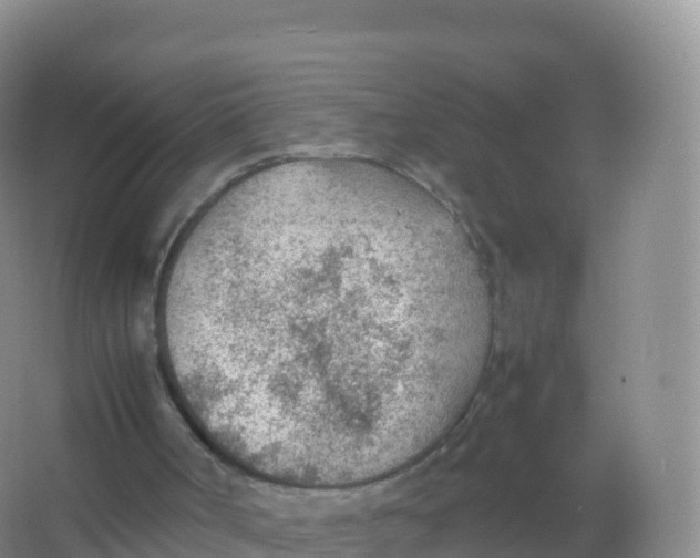 X0000066940002200604142035