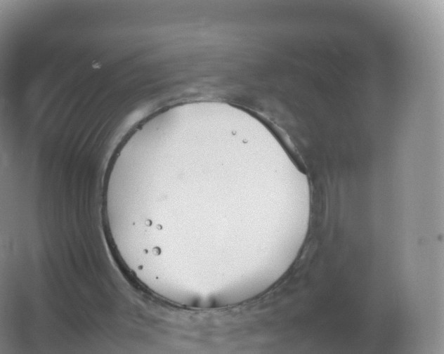 X0000066940003200604142035