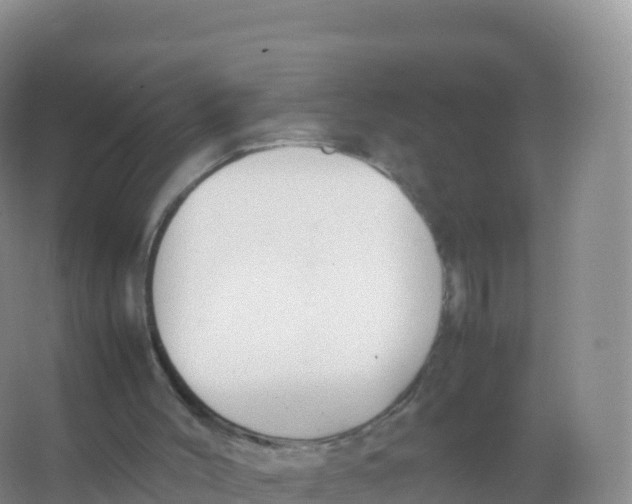 X0000066940004200604142035