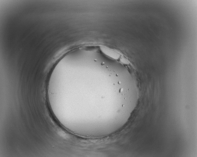 X0000066940005200604142035