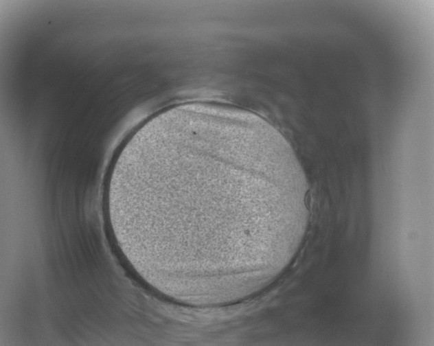 X0000066940006200604142035