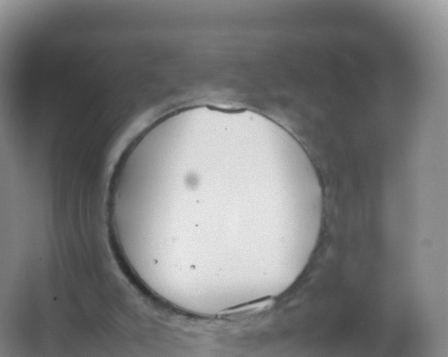 X0000066940007200604142035