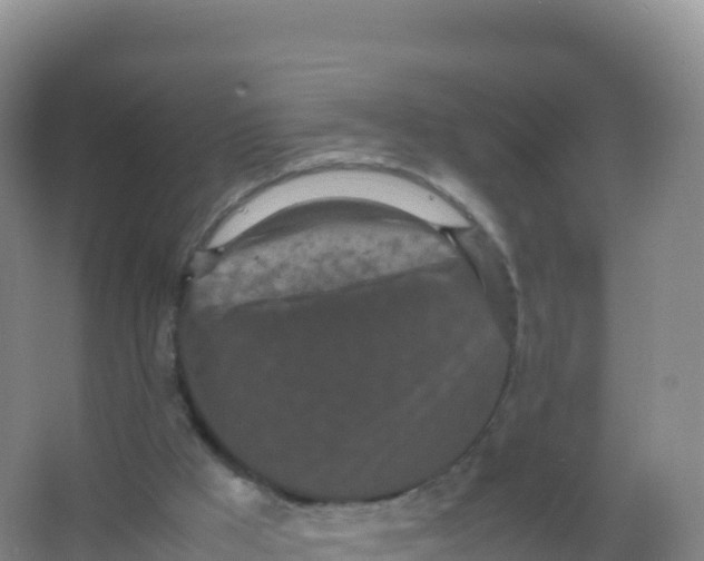 X0000066940009200604142035