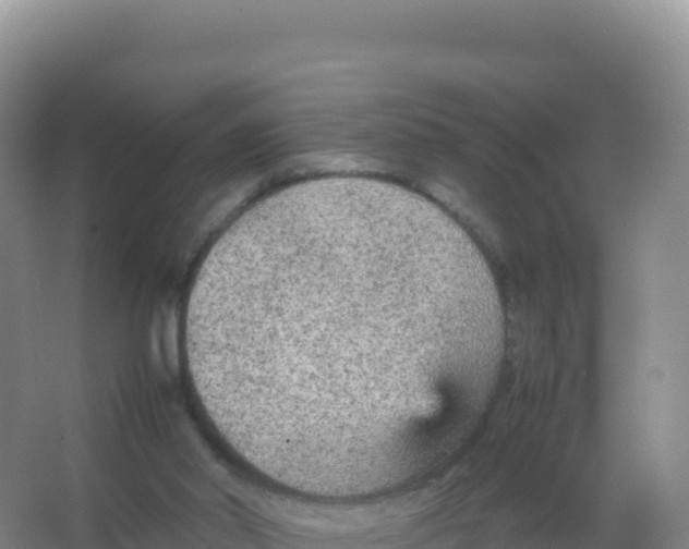 X0000066940014200604142035