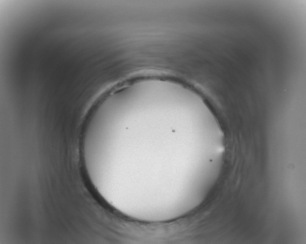 X0000066940015200604142035