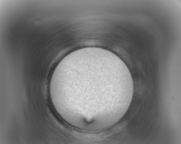 X0000066940016200604142035