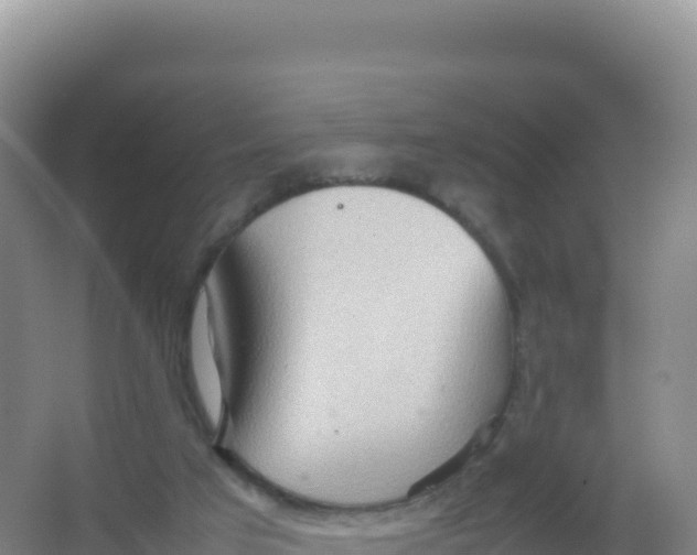 X0000066940017200604142035