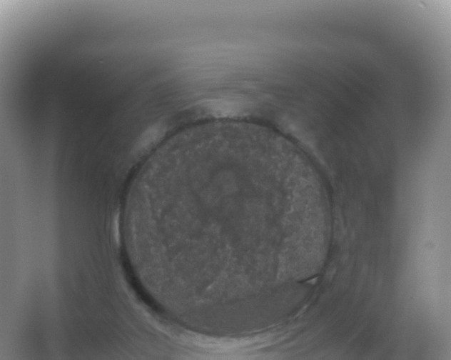 X0000066940019200604142035