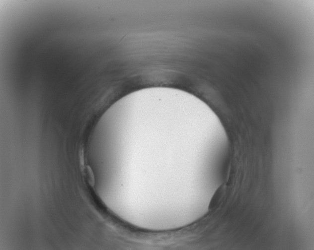 X0000066940021200604142035