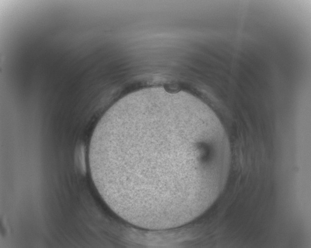 X0000066940022200604142035