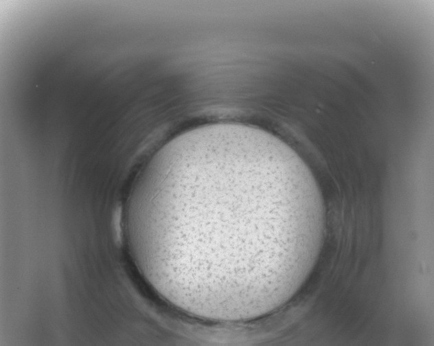 X0000066940024200604142035