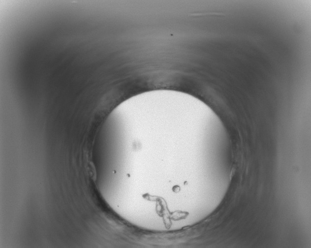 X0000066940025200604142035