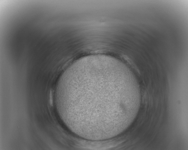 X0000066940026200604142035