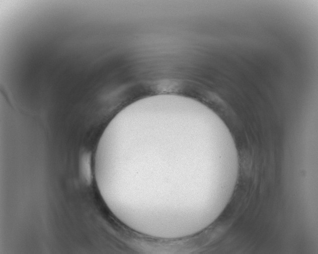 X0000066940028200604142035