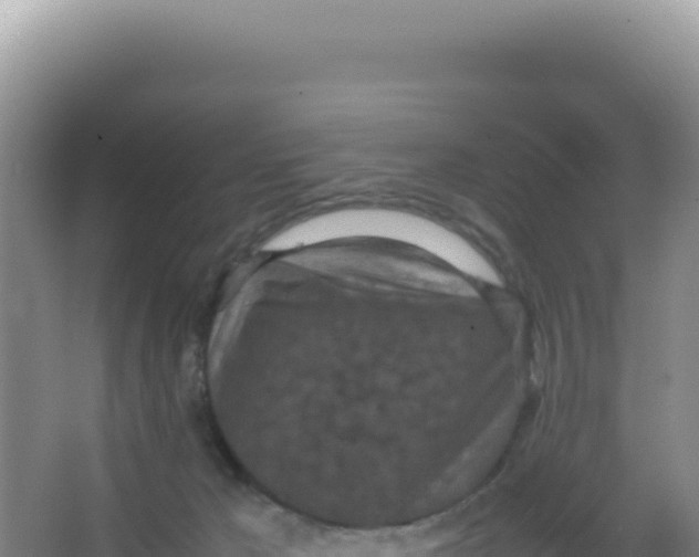 X0000066940029200604142035